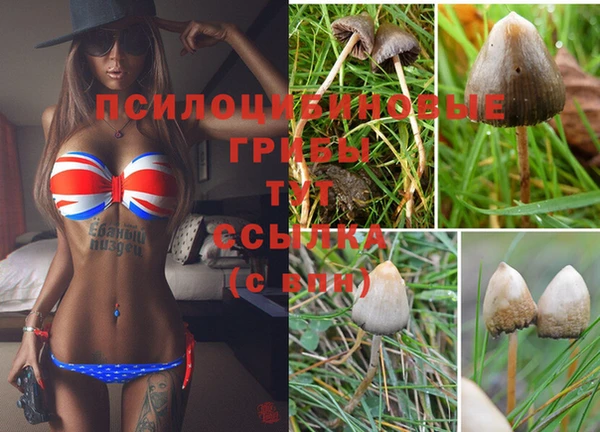 spice Баксан